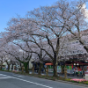 南九州市