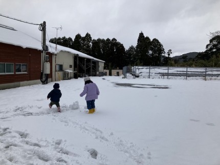 雪