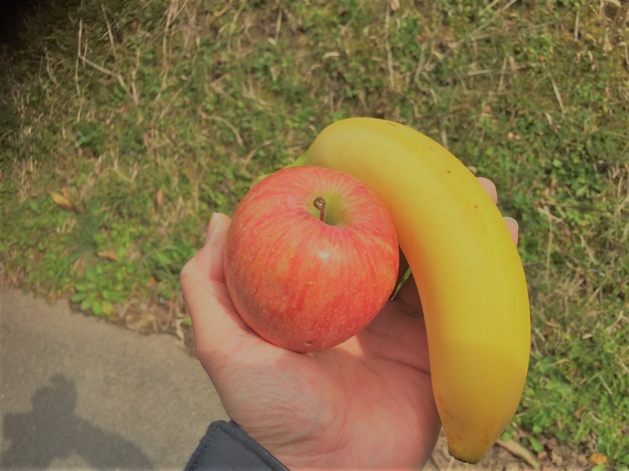 リンゴ　バナナ