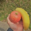 リンゴ　バナナ